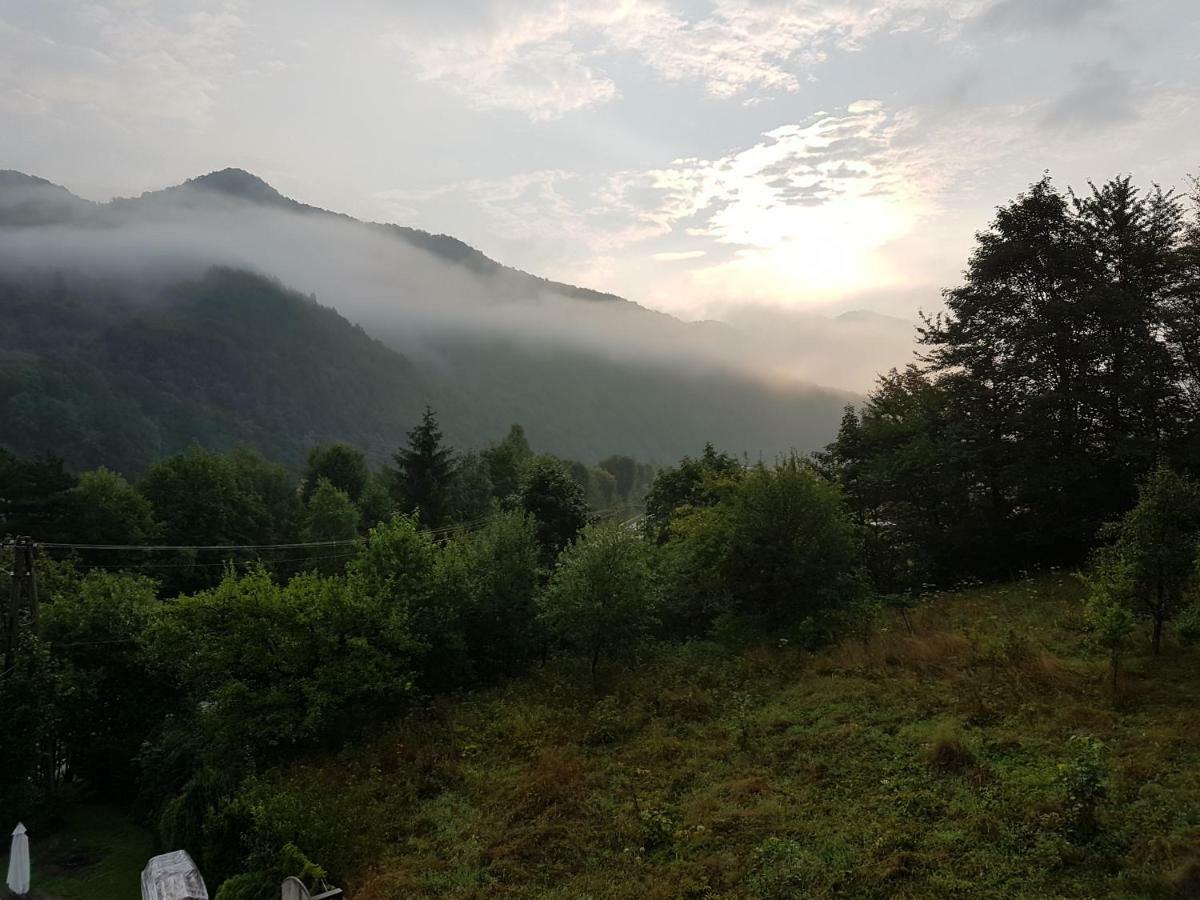 Agroturystyka U Zbyszka Tylmanowa Exterior foto